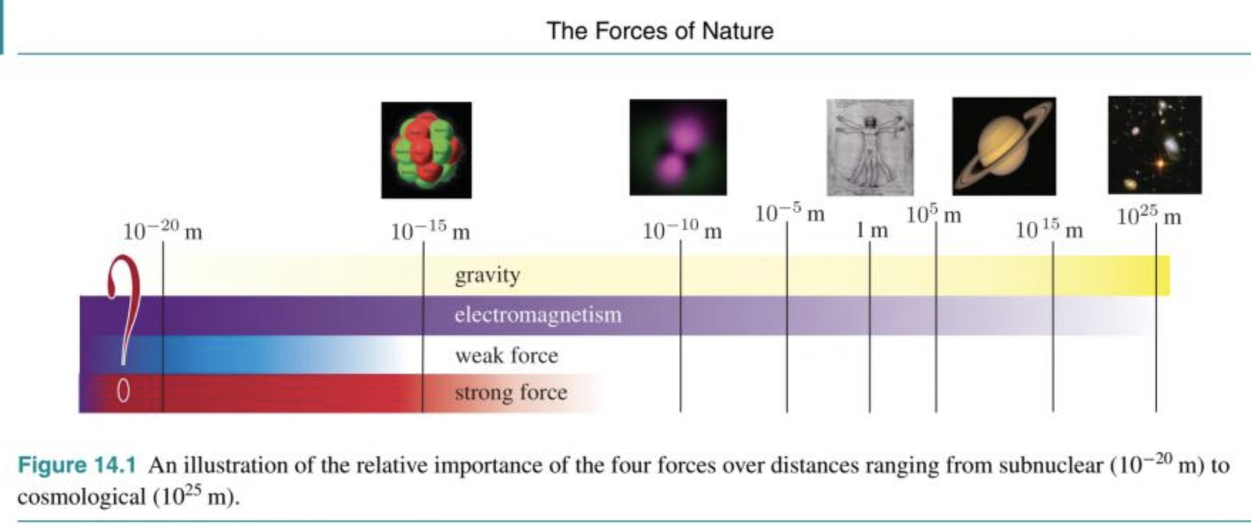 The Four Fundamental Forces (Laffe, Taylors)
